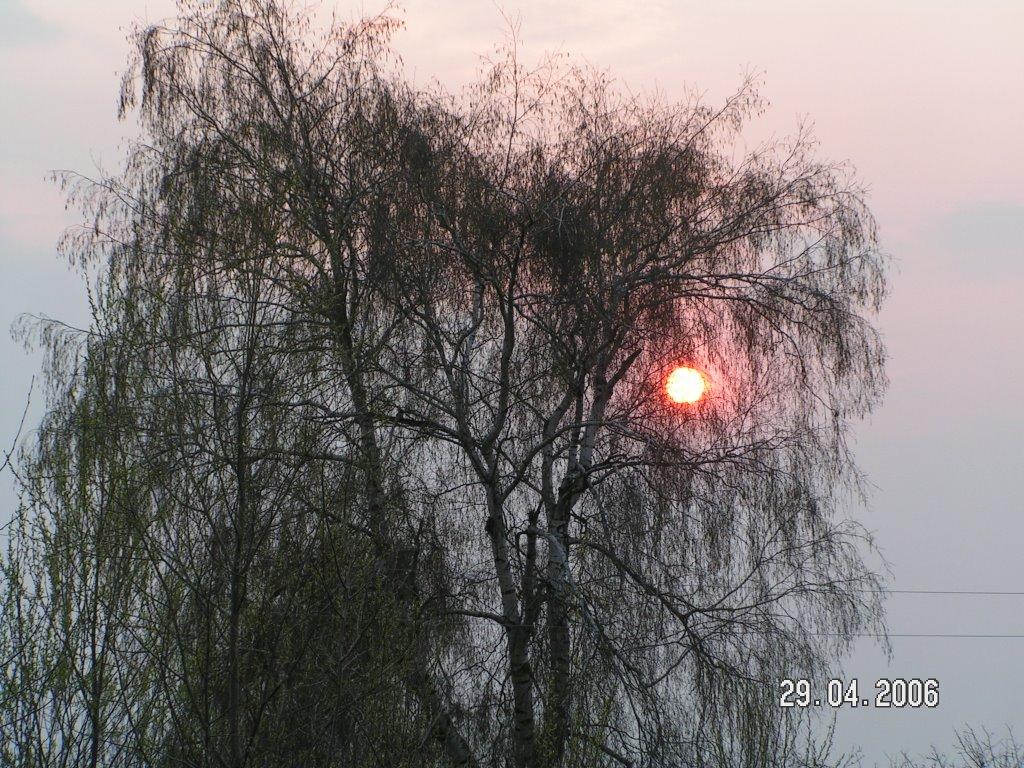 Галаганівка з panoramio.com - Галаганівка