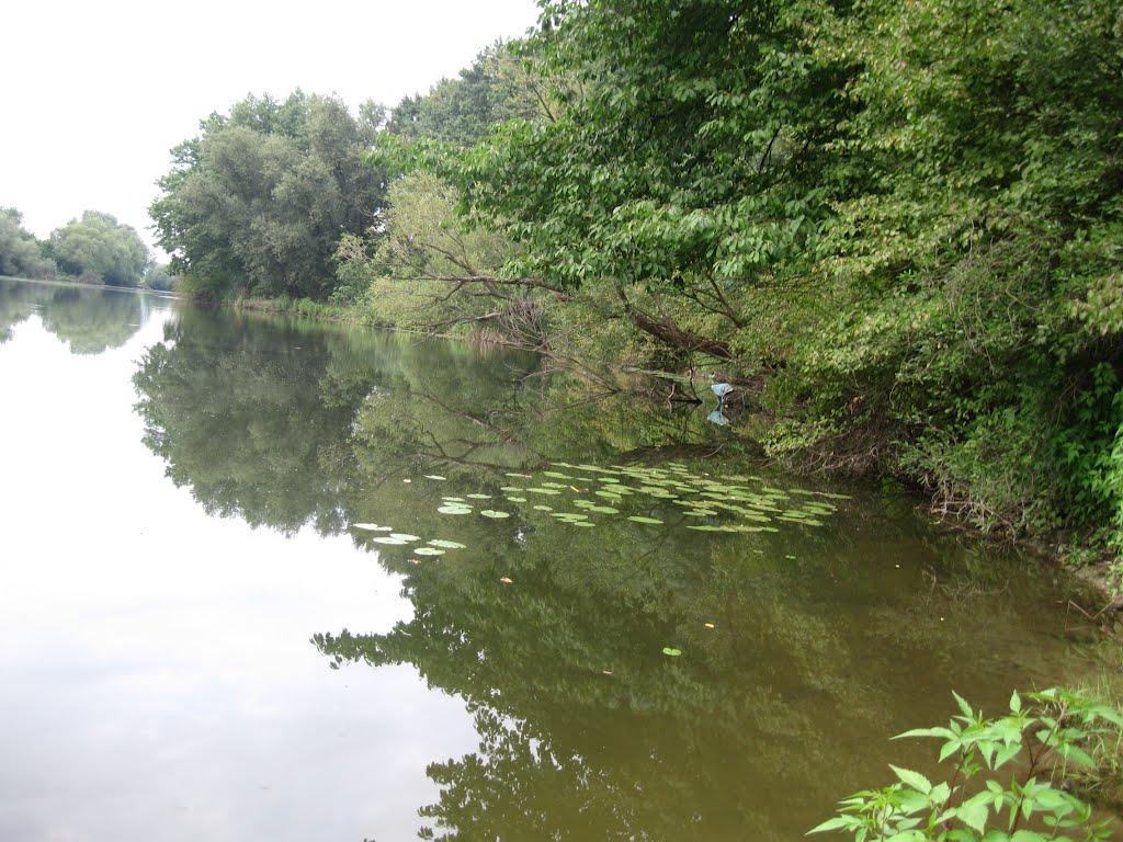 Розівка з panoramio.com (ч.2) - Розівка