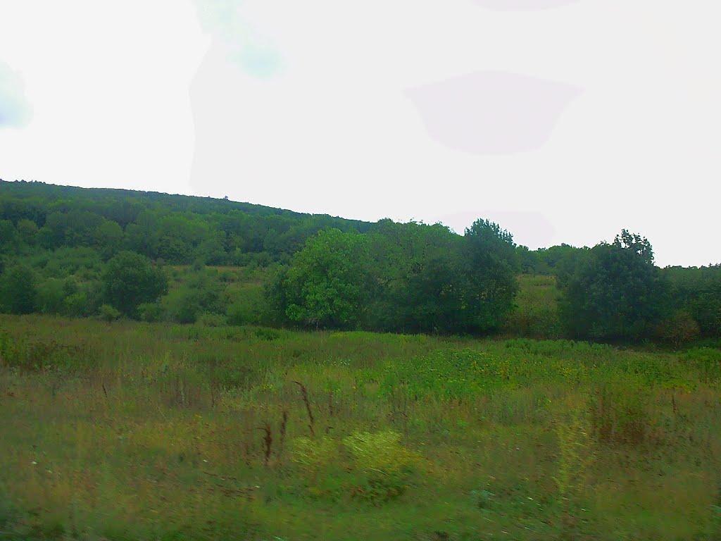 Щасливе з panoramio.com - Щасливе