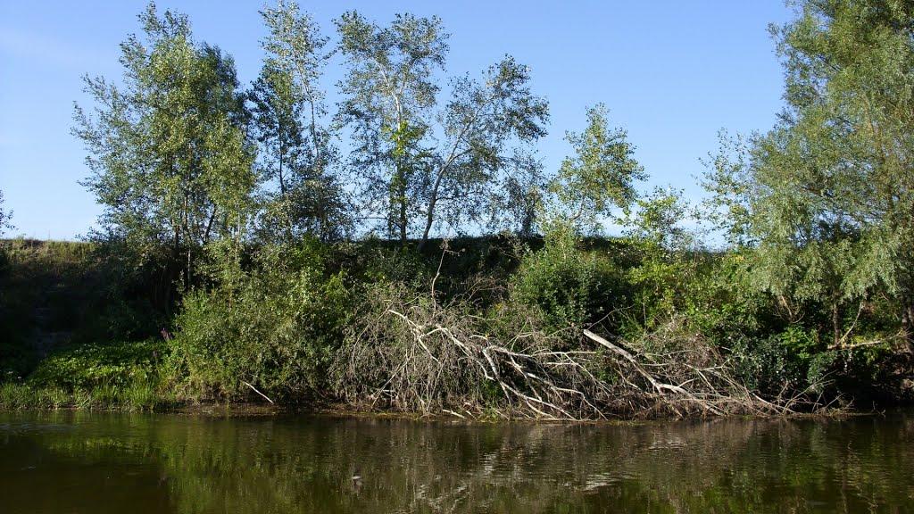 Говтва з panoramio.com - Говтва