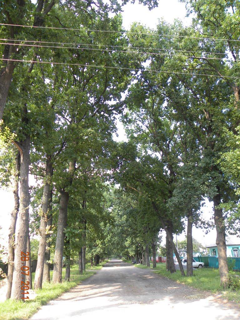 Вереміївка з panoramio.com - Веремиевка
