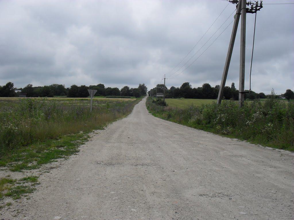 Борщівка з panoramio.com - Борщівка