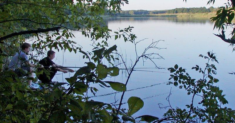 Комісарівка з panoramio.com - Комісарівка