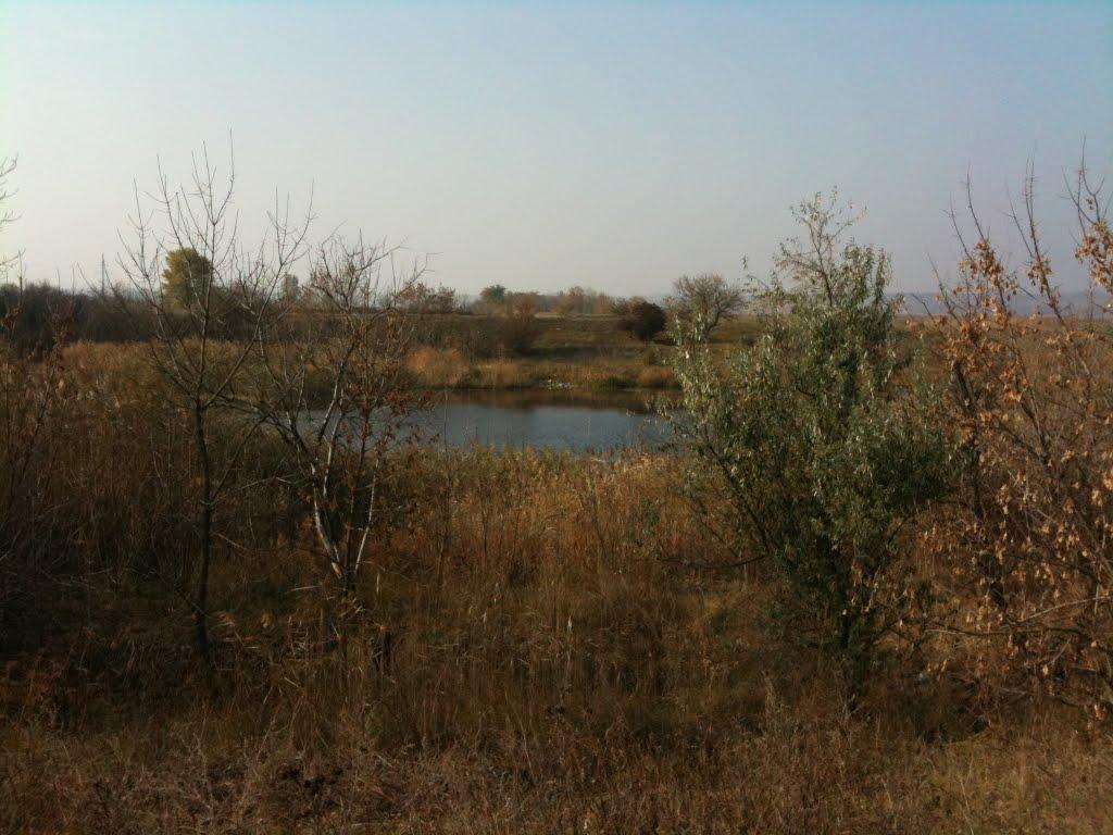 Запарівка з panoramio.com - Запаровка