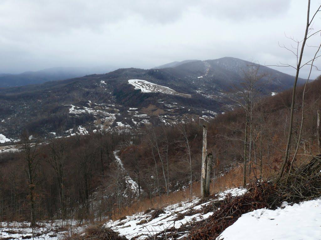 Стричава з panoramio.com - Стричава