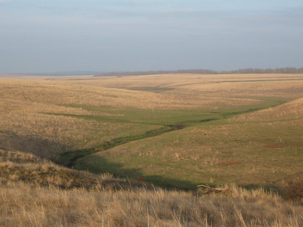 Митьково-Качкарі з panoramio.com - Митьково-Качкарі