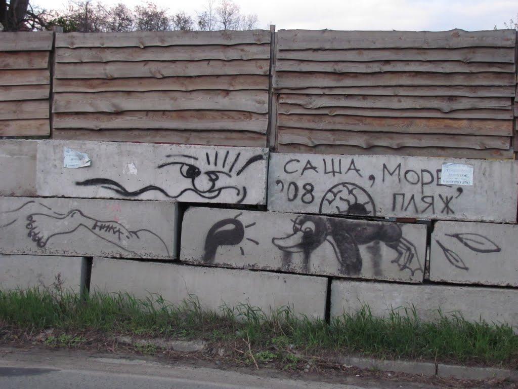 Софіївська Борщагівка з panoramio.com (ч.2) - Софиевская Борщаговка