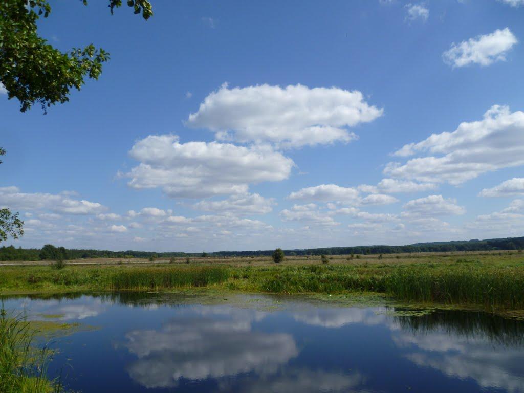 Матяшівка з panoramio.com - Матяшівка