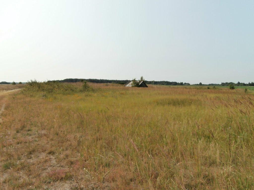 Ниговищі з panoramio.com - Ниговищі