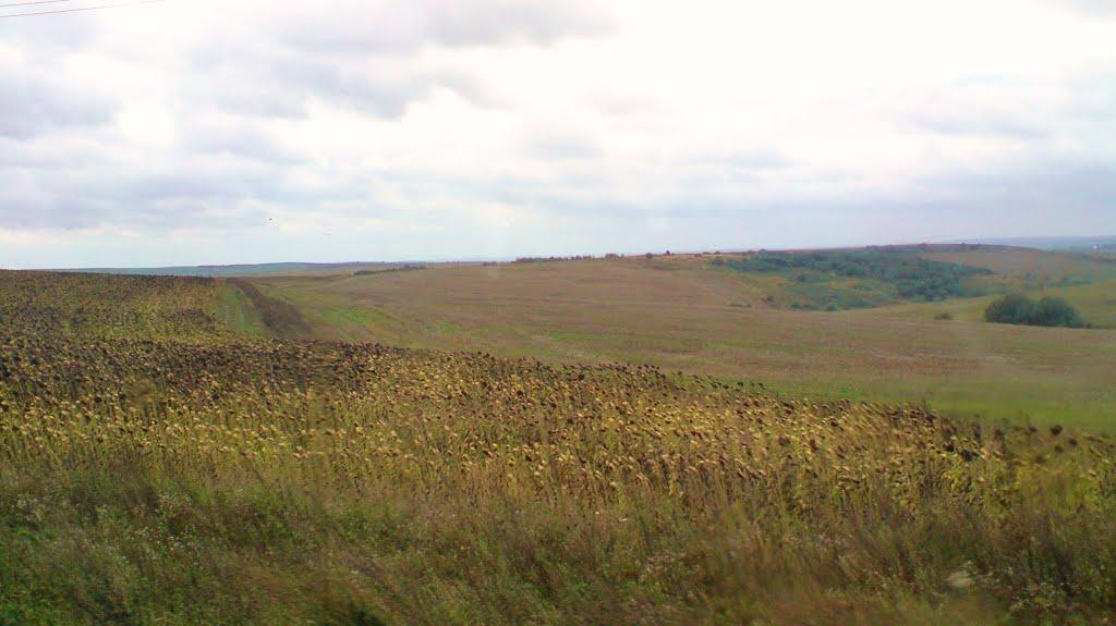 Нові Стрілища з panoramio.com - Нові Стрілища