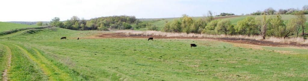 Ятранівка з panoramio.com - Ятранівка