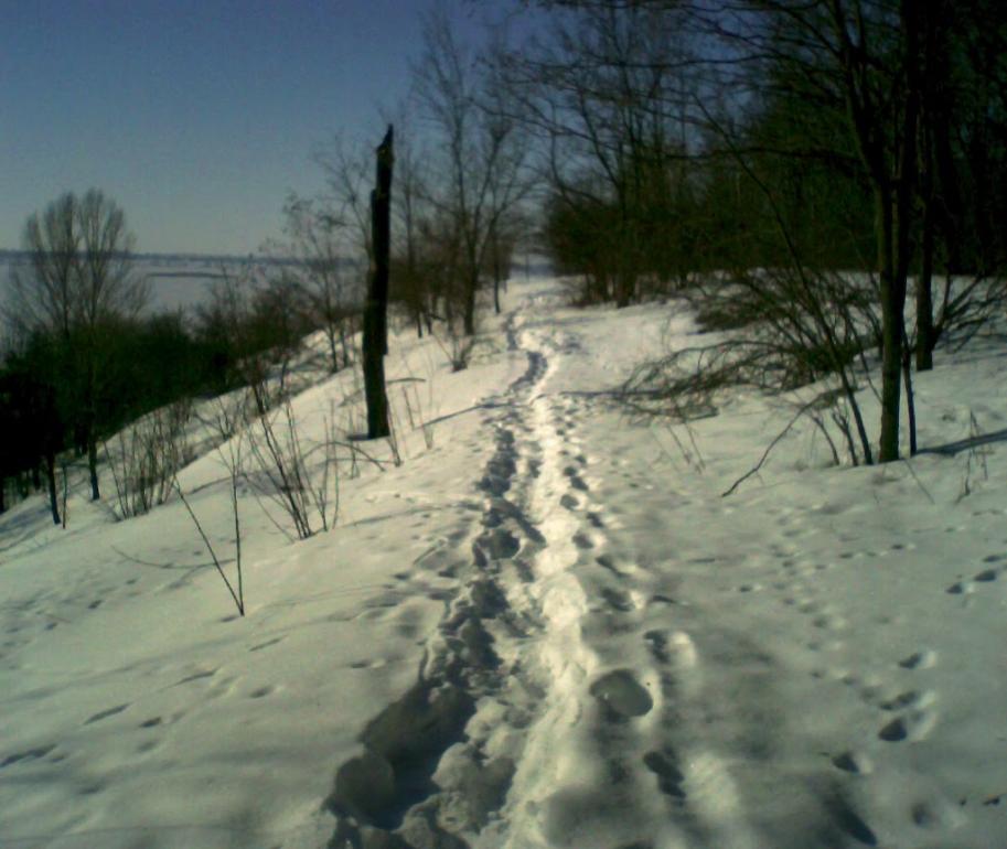 Засупоївка з panoramio.com - Засупоївка