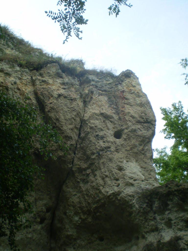 Каштанівка з panoramio.com - Каштанівка