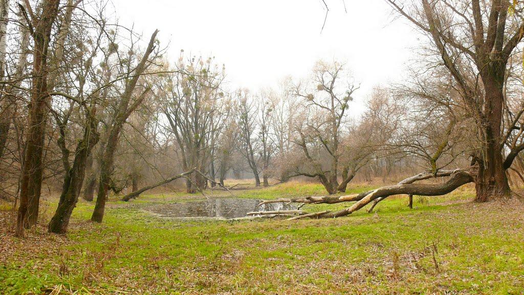 Святогірськ з panoramio.com - Святогорск