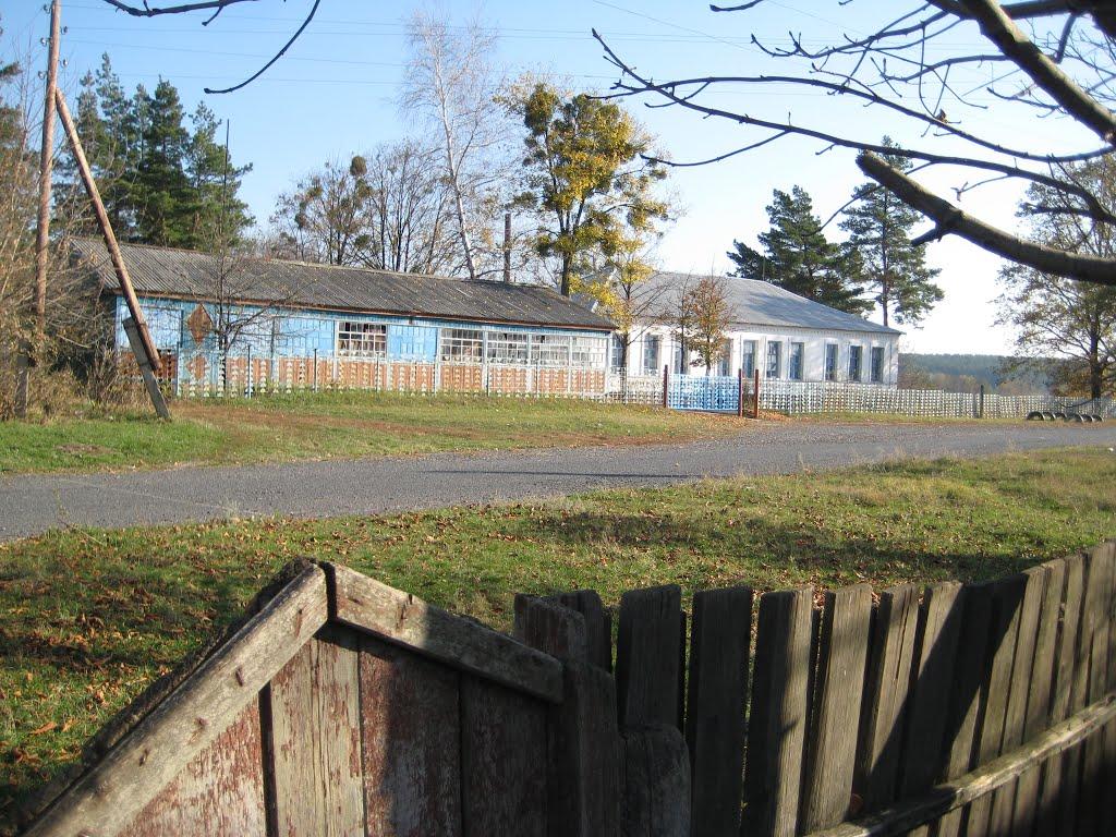 Бірки з panoramio.com - Бірки