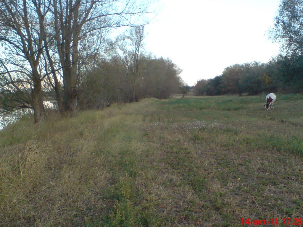 Змійове з panoramio.com - Змійове