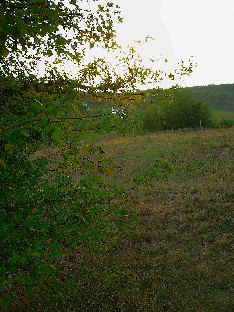 Богатир з panoramio.com - Богатырь