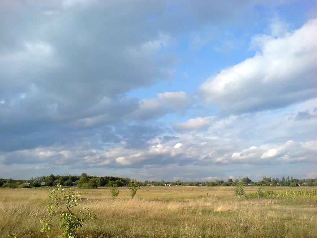 Дубина з panoramio.com - Дубина