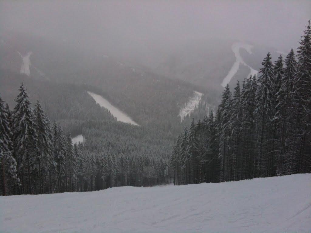 Паляниця з panoramio.com (ч.4) - Паляница