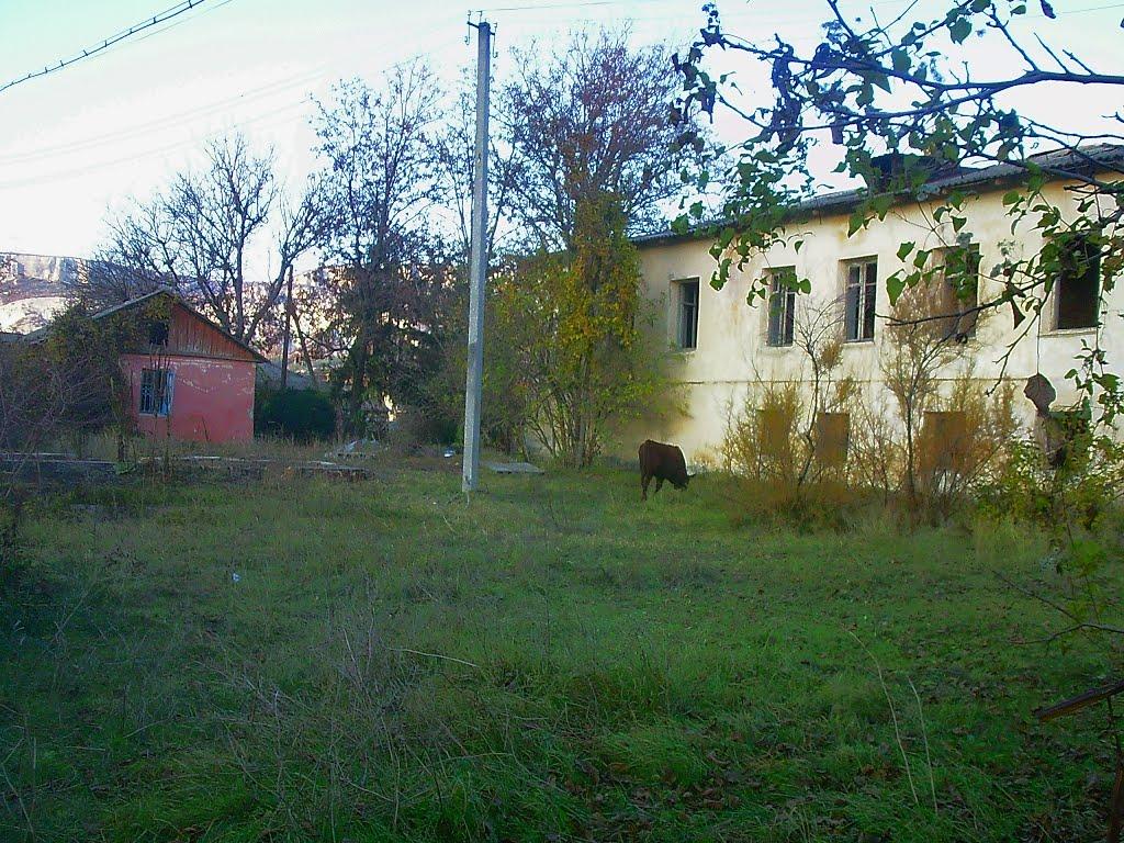 Куйбишеве з panoramio.com (ч.2) - Куйбышево