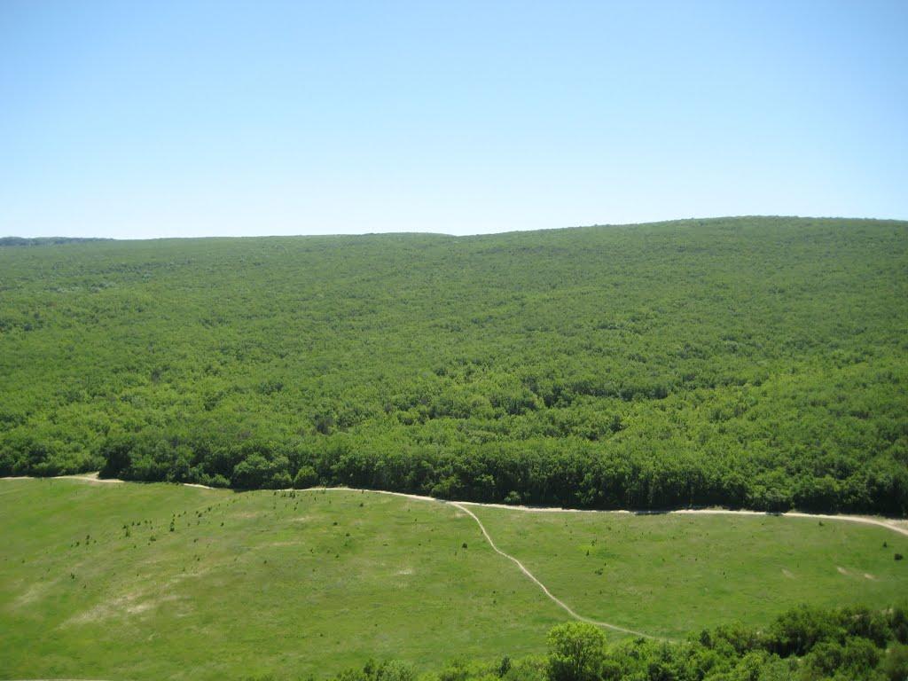 Тернівка з panoramio.com (ч.3) - Терновка