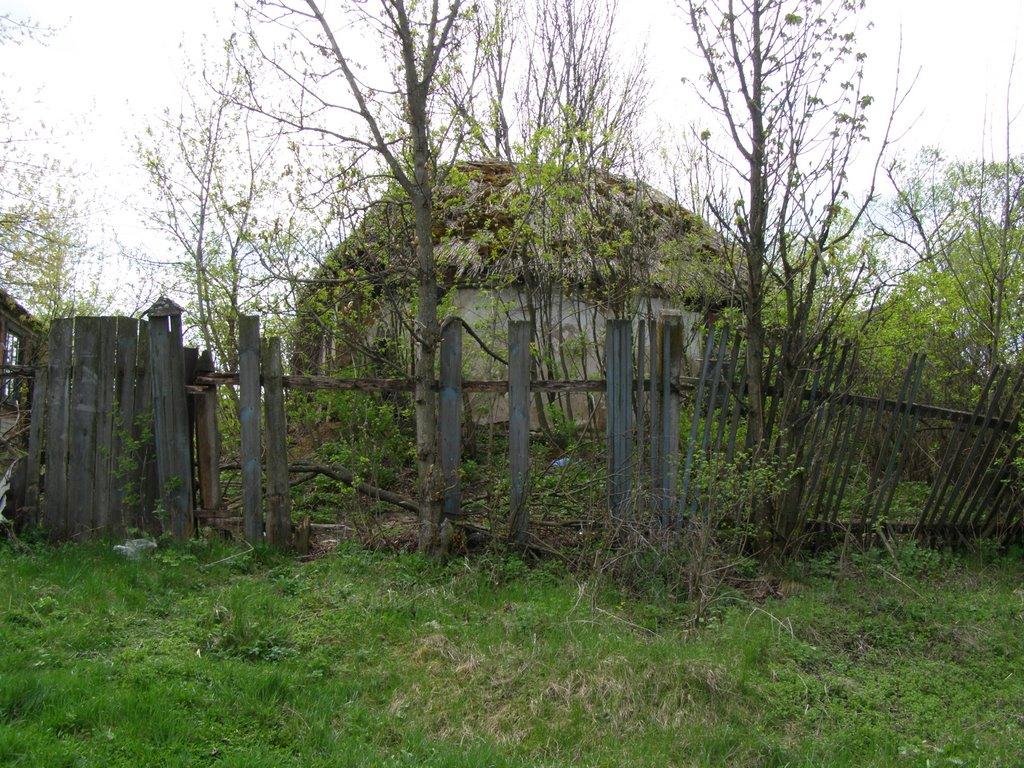 Берека з panoramio.com - Берека