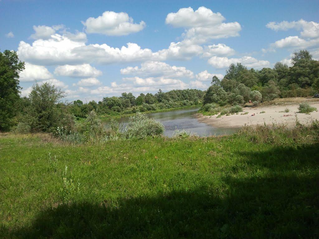 Лисогубівка з panoramio.com - Лисогубівка