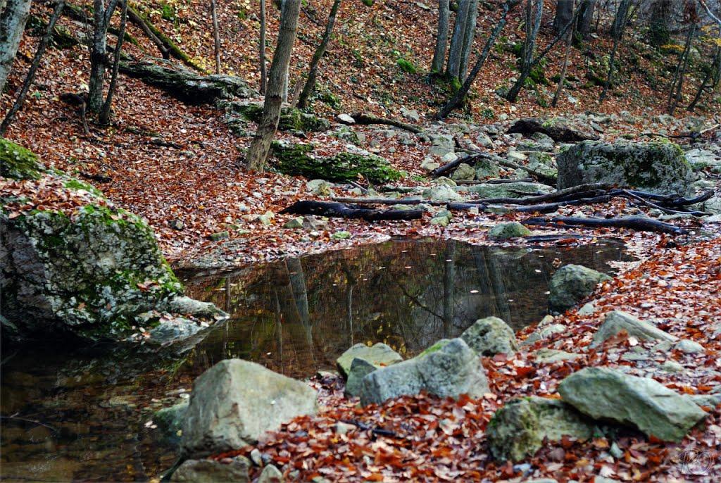 Поворотне з panoramio.com - Поворотне