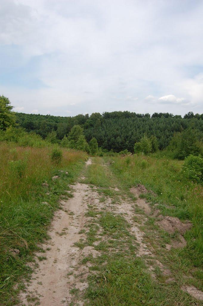 Хрінники з panoramio.com - Хрінники