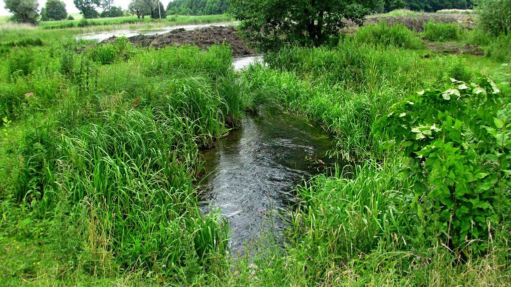 Пониква з panoramio.com - Пониква