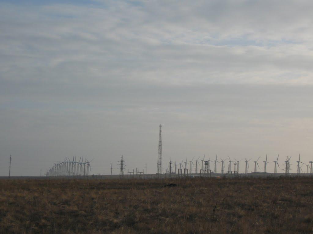 Митьково-Качкарі з panoramio.com - Митьково-Качкарі