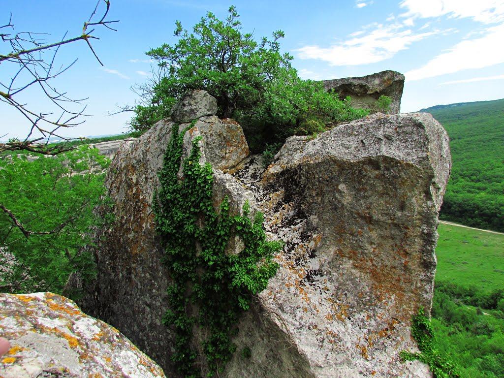 Тернівка з panoramio.com (ч.3) - Терновка