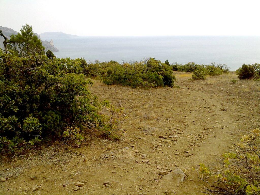 Морське з panoramio.com (ч.2) - Морское