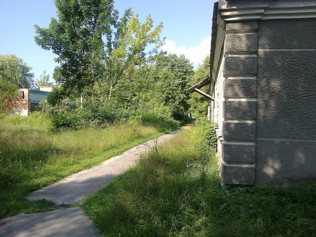 Камінь-Каширський з panoramio.com - Камінь-Каширський