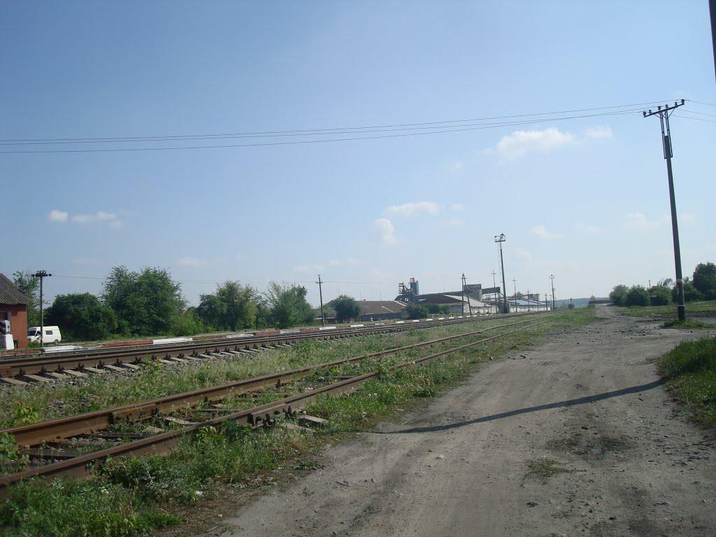 Стара Гута з panoramio.com - Стара Гута