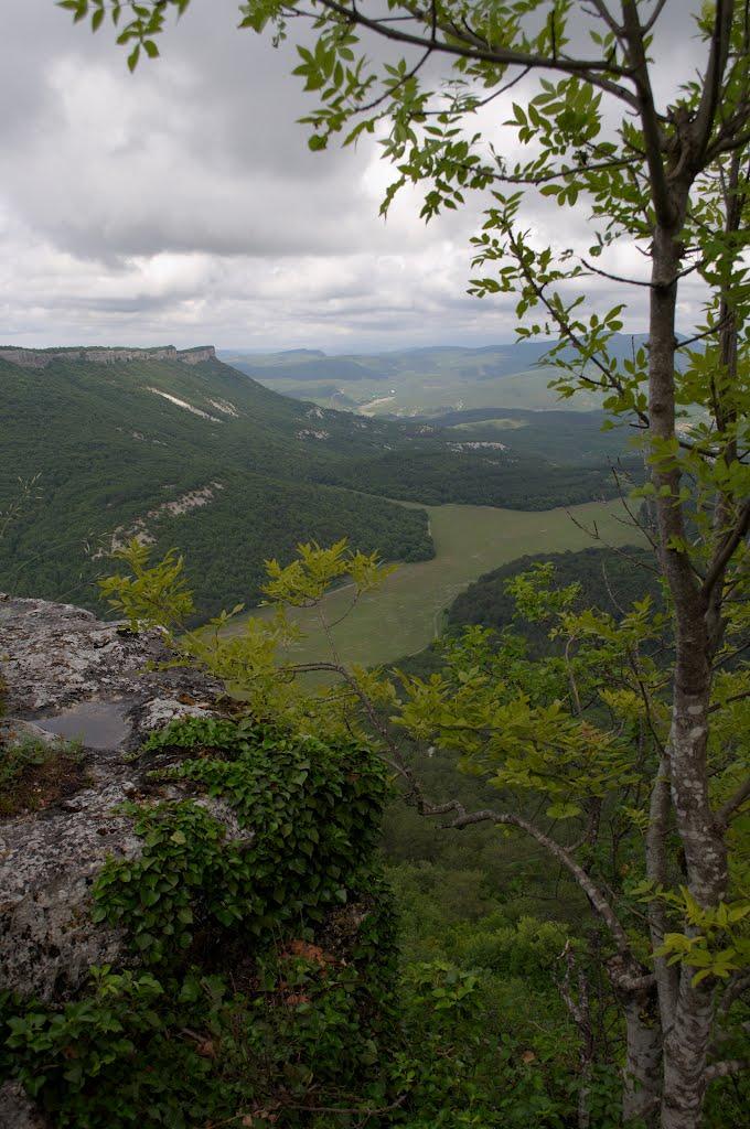 Велике Садове з panoramio.com - Большое Садовое