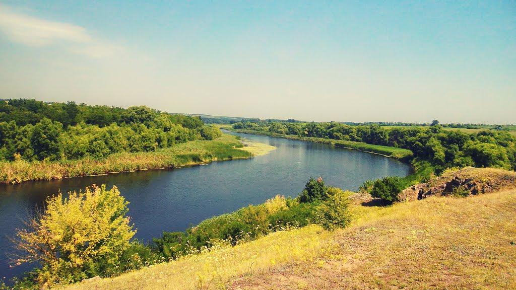 Осички з panoramio.com - Осички