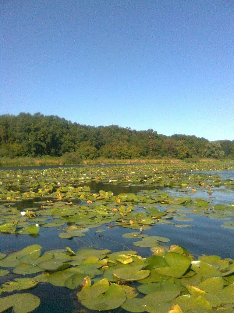 Есхар з panoramio.com - Есхар