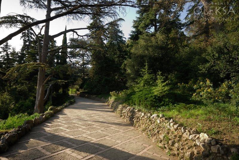 Нікіта з panoramio.com (ч.2) - Никита