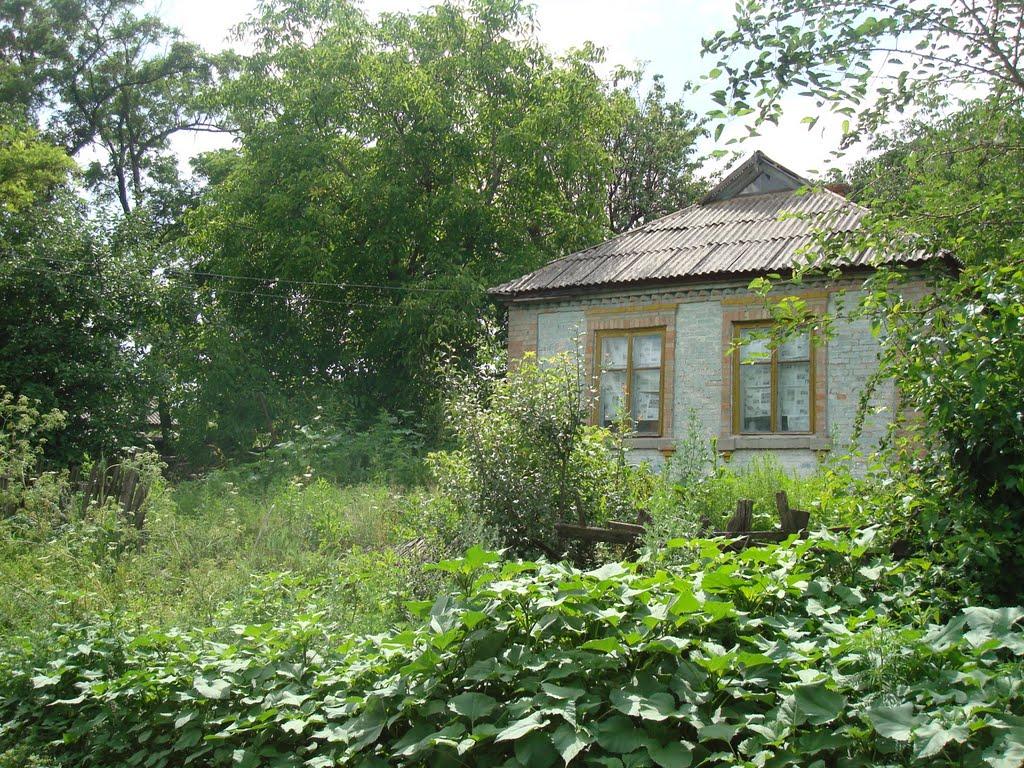 Побузьке з panoramio.com - Побугское