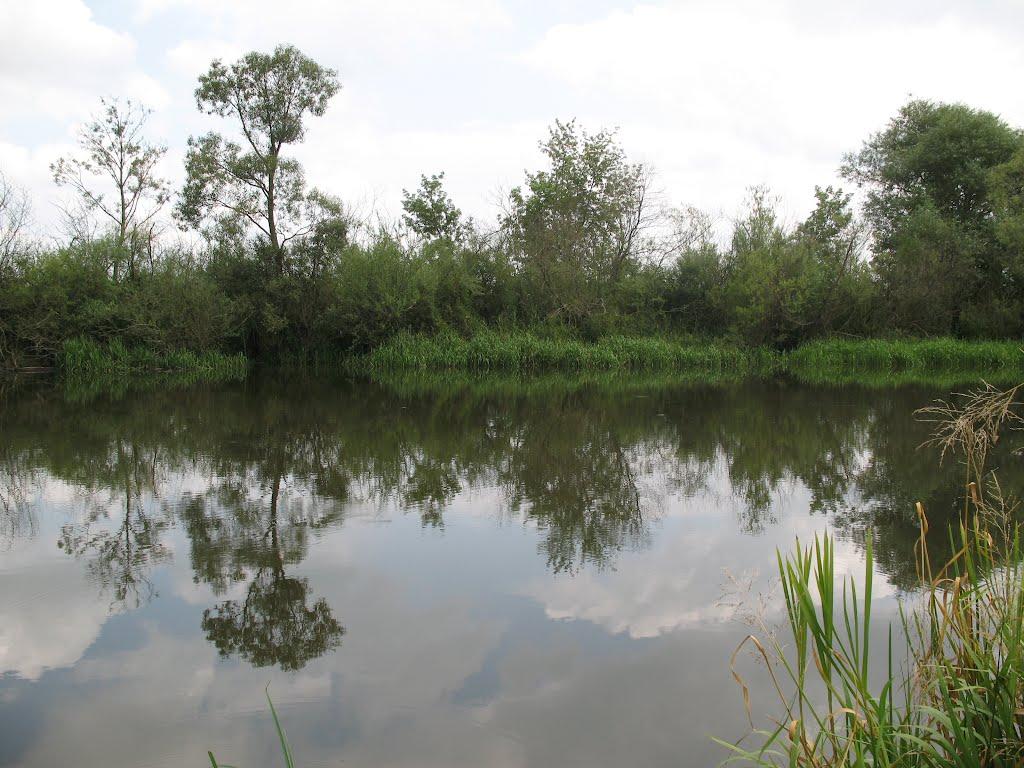 Будилів з panoramio.com - Будилів