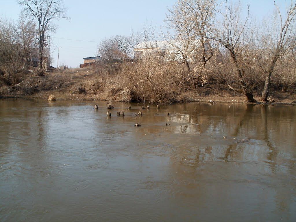 Куна з panoramio.com - Куна