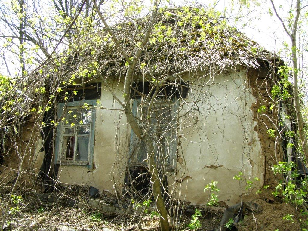 Берека з panoramio.com - Берека