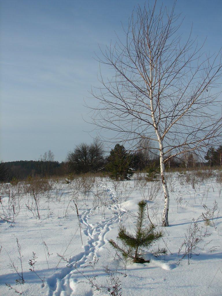 Мохначі з panoramio.com - Мохначі