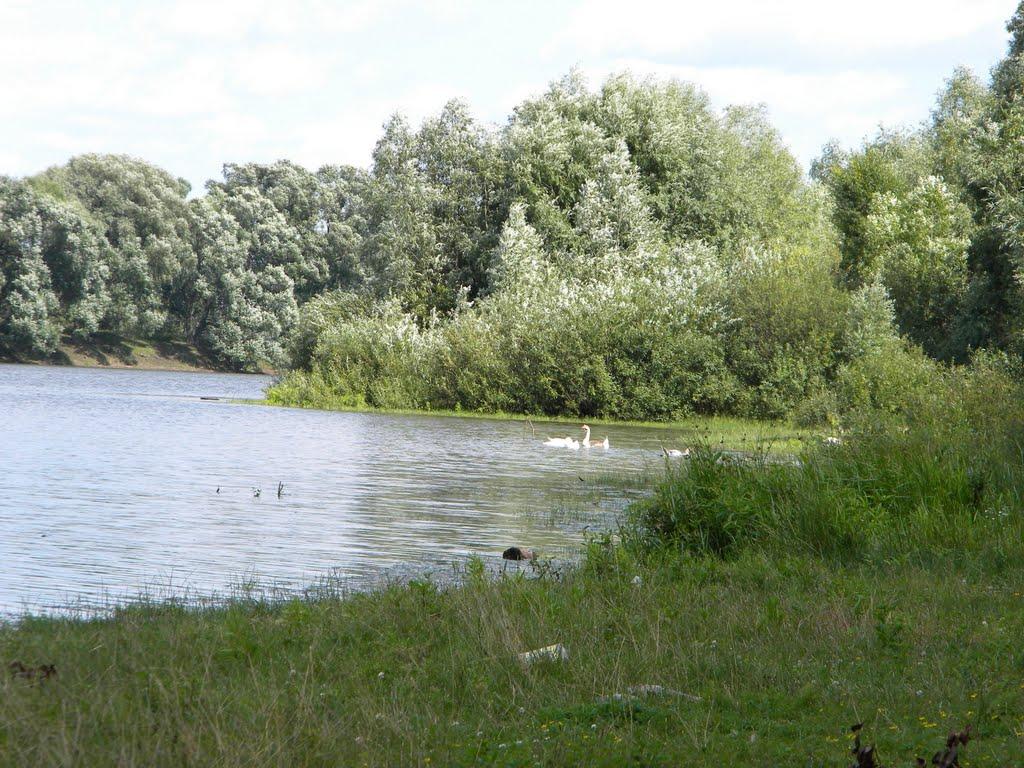 Землянка з panoramio.com - Землянка