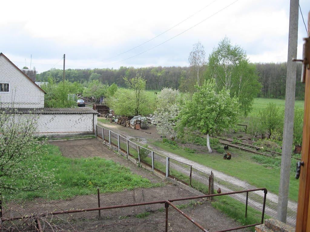 Верхня Сироватка з panoramio.com - Верхня Сироватка