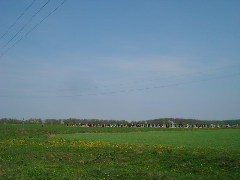 Хижня з panoramio.com - Хижня