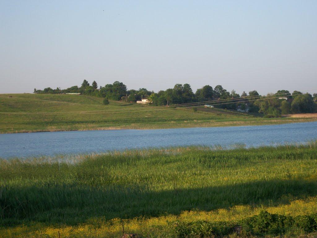 Малашівці з panoramio.com - Малашівці