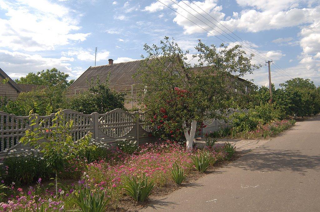 Охрімівка з panoramio.com - Охрімівка