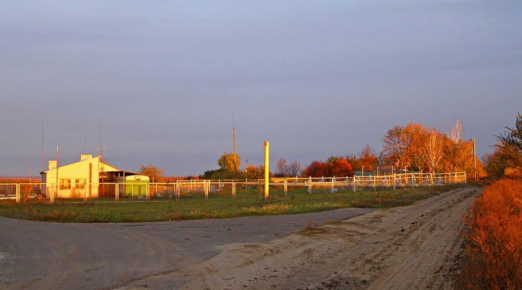 Новопсков з panoramio.com - Новопсков